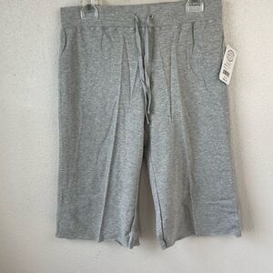 NWT Passports Gray Shorts Size M